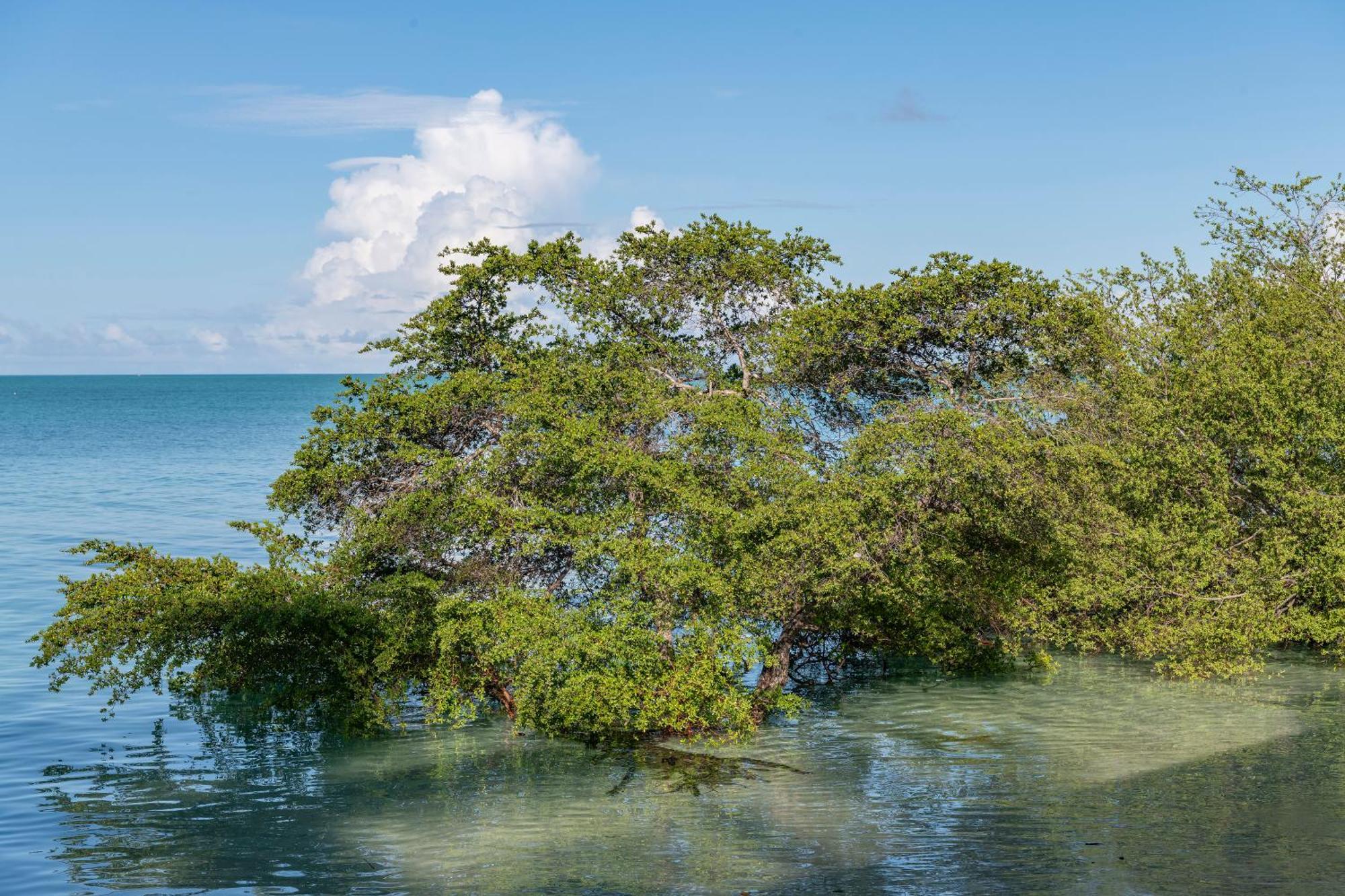 Nunukan Island Resort Maratua Island エクステリア 写真